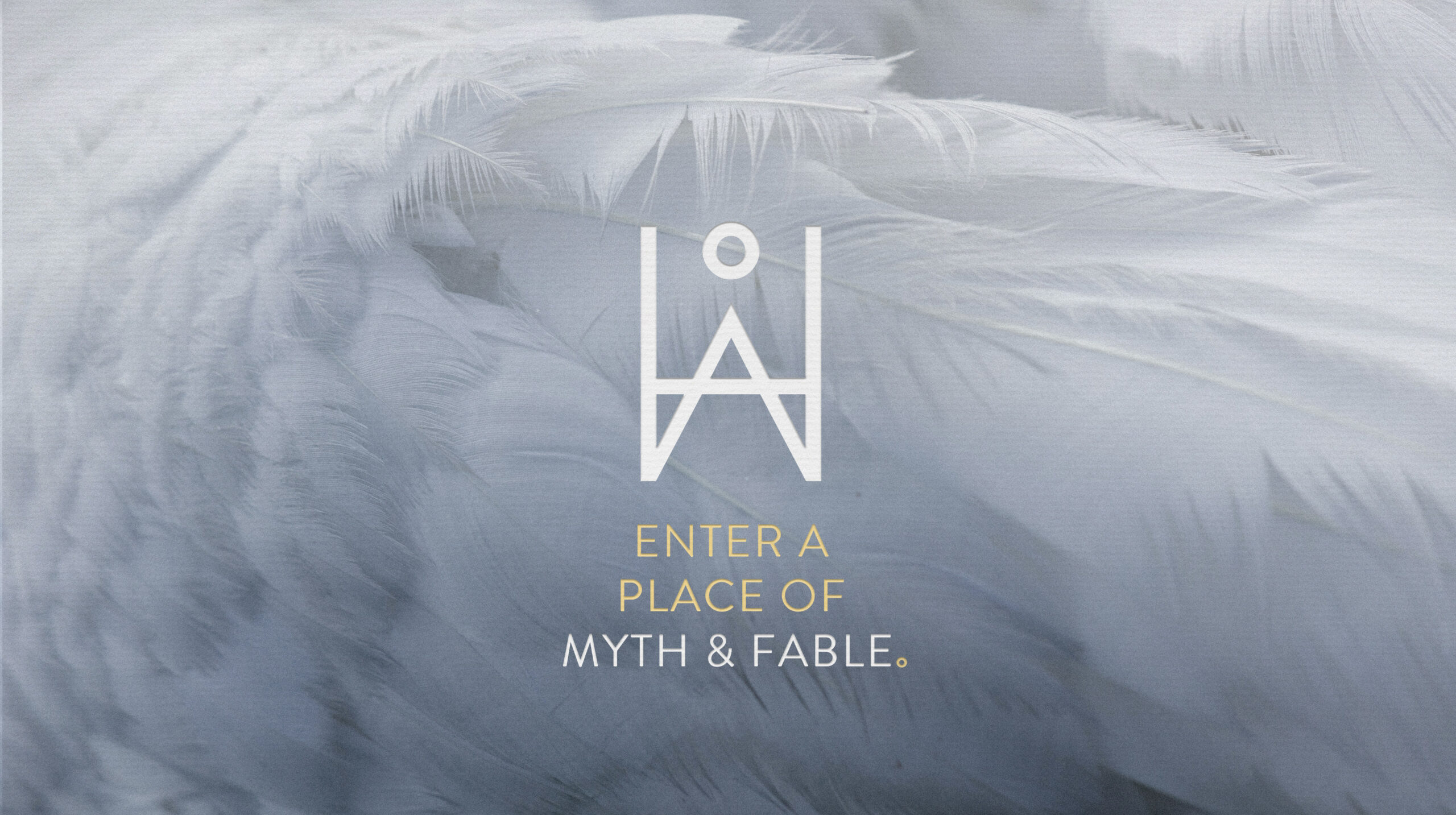 Feathers conjures up angelic symbolism in the brand.